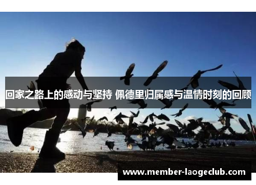 回家之路上的感动与坚持 佩德里归属感与温情时刻的回顾