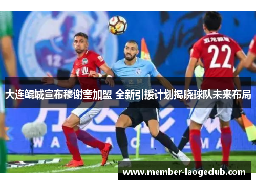 大连鲲城宣布穆谢奎加盟 全新引援计划揭晓球队未来布局 大连鲲城宣布穆谢奎加盟 全新引援计划揭晓球队未来布局