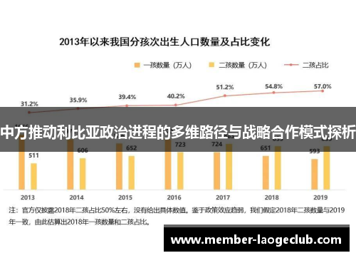 中方推动利比亚政治进程的多维路径与战略合作模式探析