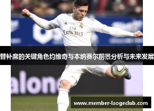 替补席的关键角色约维奇与本纳赛尔前景分析与未来发展 替补席的关键角色约维奇与本纳赛尔前景分析与未来发展