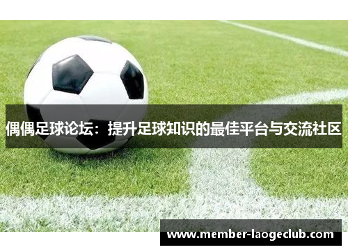 偶偶足球论坛:提升足球知识的最佳平台与交流社区 偶偶足球论坛:提升足球知识的最佳平台与交流社区
