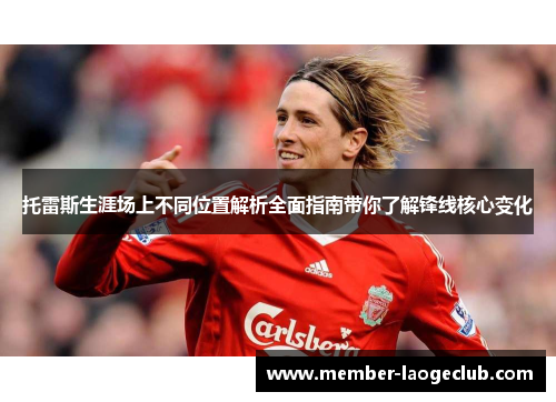 托雷斯生涯场上不同位置解析全面指南带你了解锋线核心变化 托雷斯生涯场上不同位置解析全面指南带你了解锋线核心变化