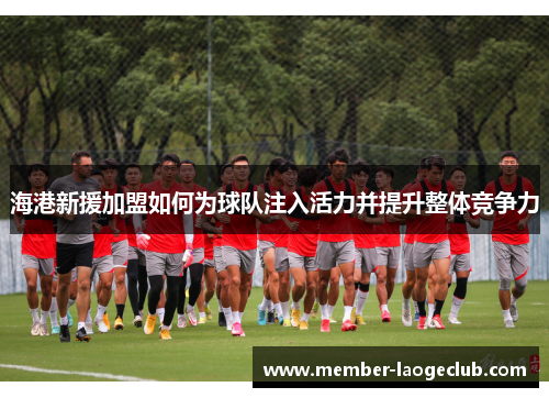 海港新援加盟如何为球队注入活力并提升整体竞争力 海港新援加盟如何为球队注入活力并提升整体竞争力