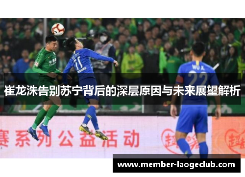 崔龙洙告别苏宁背后的深层原因与未来展望解析 崔龙洙告别苏宁背后的深层原因与未来展望解析