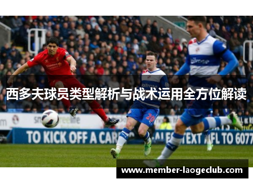 西多夫球员类型解析与战术运用全方位解读 西多夫球员类型解析与战术运用全方位解读