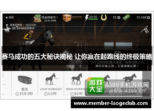 赛马成功的五大秘诀揭秘 让你赢在起跑线的终极策略 赛马成功的五大秘诀揭秘 让你赢在起跑线的终极策略