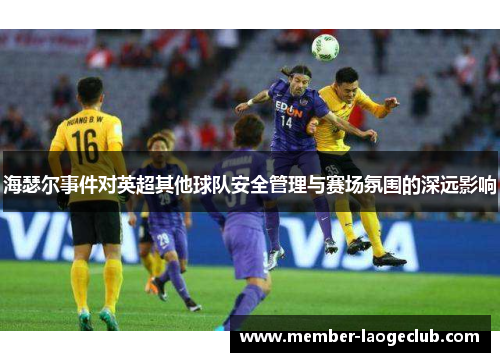 海瑟尔事件对英超其他球队安全管理与赛场氛围的深远影响