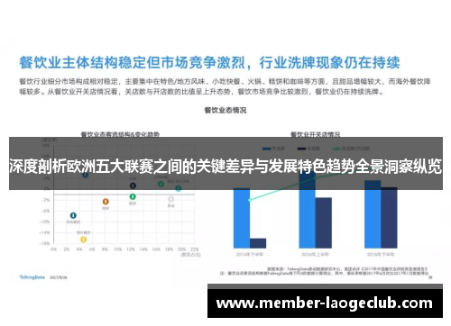 深度剖析欧洲五大联赛之间的关键差异与发展特色趋势全景洞察纵览 深度剖析欧洲五大联赛之间的关键差异与发展特色趋势全景洞察纵览